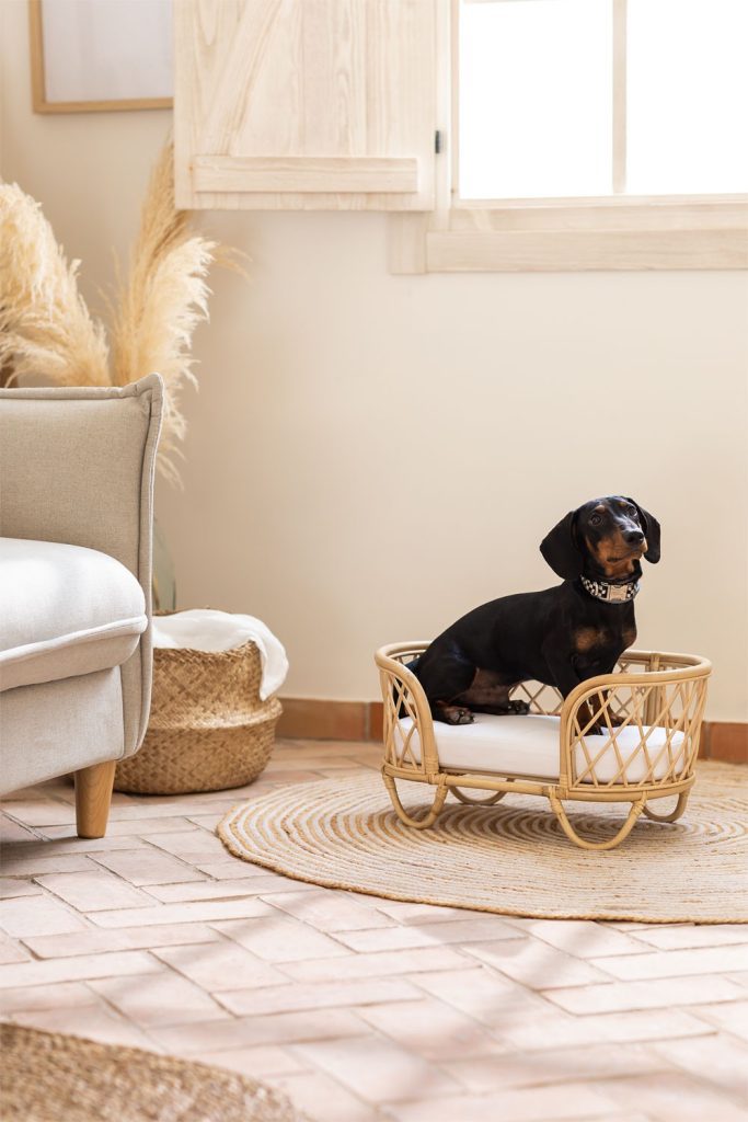 Cama para mascotas Snoopy de la tienda en diseño de interiores y decoración Jameos Estudio