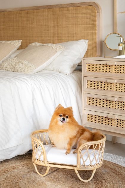 Descubre la Cama para Mascotas Scooby: Diseño en ratán, cojines mullidos, perfecta integración. Asegura el descanso y confort. ¡Consíguela ya!