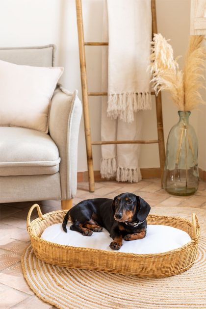 Descubre la elegante Cama para Mascotas Tob de Jameos Estudio: ratán natural, cojines de fibra. Versátil y desenfundable, perfecta para mimar a tu mascota con estilo. ¡Confort y diseño en cada rincón!
