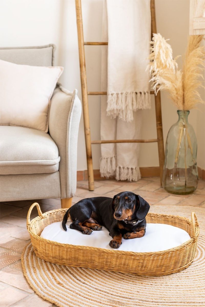 Descubre la elegante Cama para Mascotas Tob de Jameos Estudio: ratán natural, cojines de fibra. Versátil y desenfundable, perfecta para mimar a tu mascota con estilo. ¡Confort y diseño en cada rincón!