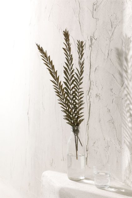 Eleva tu hogar con el Pack de 10 Ramas Secas Decorativas de Jameos Estudio. Frescura natural y elegancia en cada detalle. ¡Descúbrelo ahora!