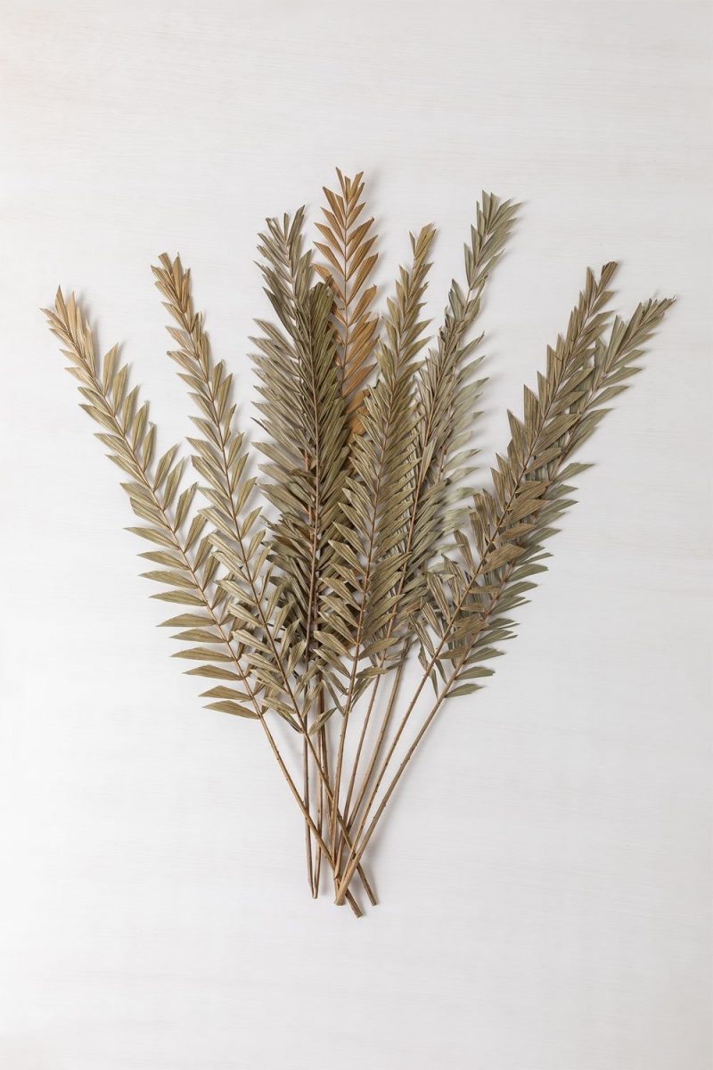Eleva tu hogar con el Pack de 10 Ramas Secas Decorativas de Jameos Estudio. Frescura natural y elegancia en cada detalle. ¡Descúbrelo ahora!