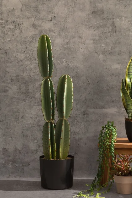 ¡Decora sin espinas! Cactus Artificial Cereus 70 cm en Jameos Estudio. Calidad premium, sin mantenimiento. Añade naturaleza a tu hogar. ¡Compra ya!