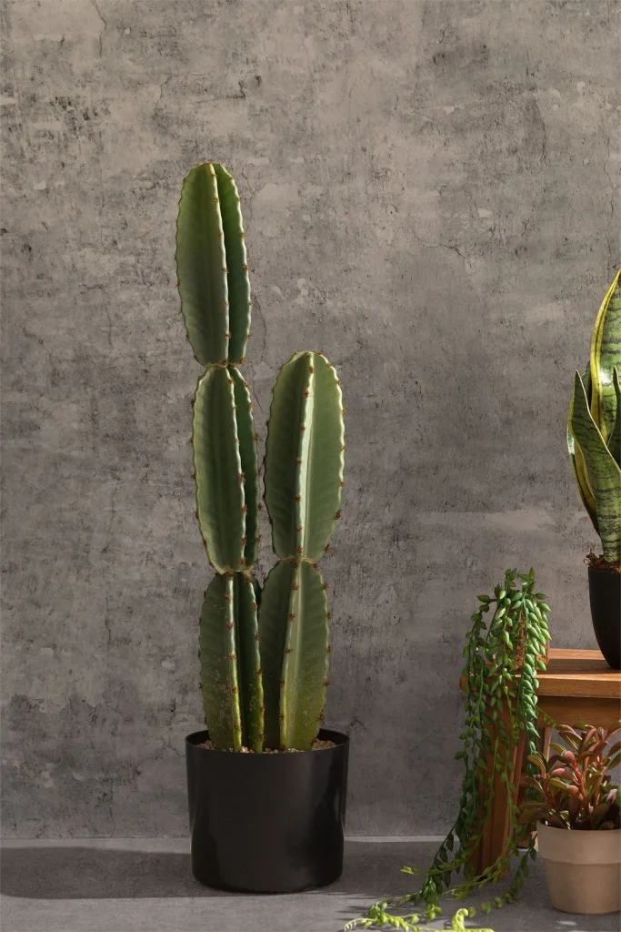 ¡Decora sin espinas! Cactus Artificial Cereus 70 cm en Jameos Estudio. Calidad premium, sin mantenimiento. Añade naturaleza a tu hogar. ¡Compra ya!