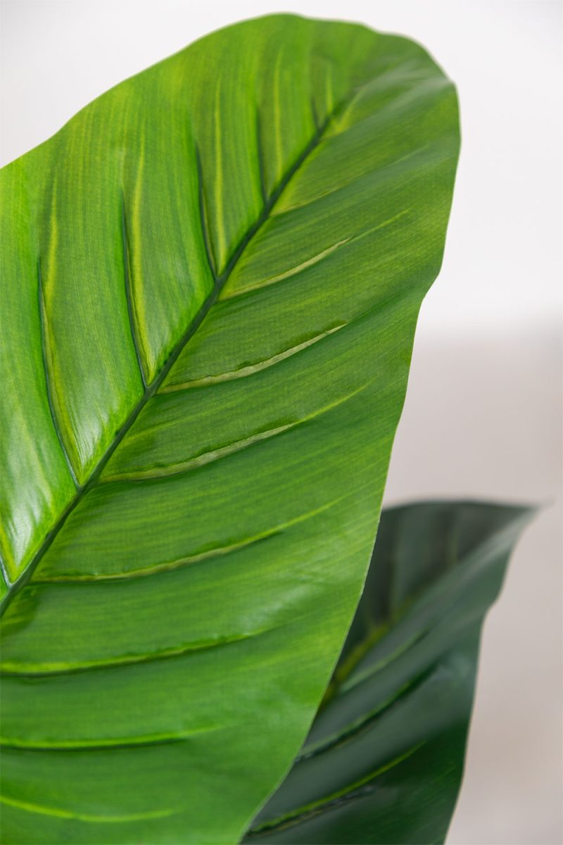 Planta Artificial Decorativa Esterlicia 150cm