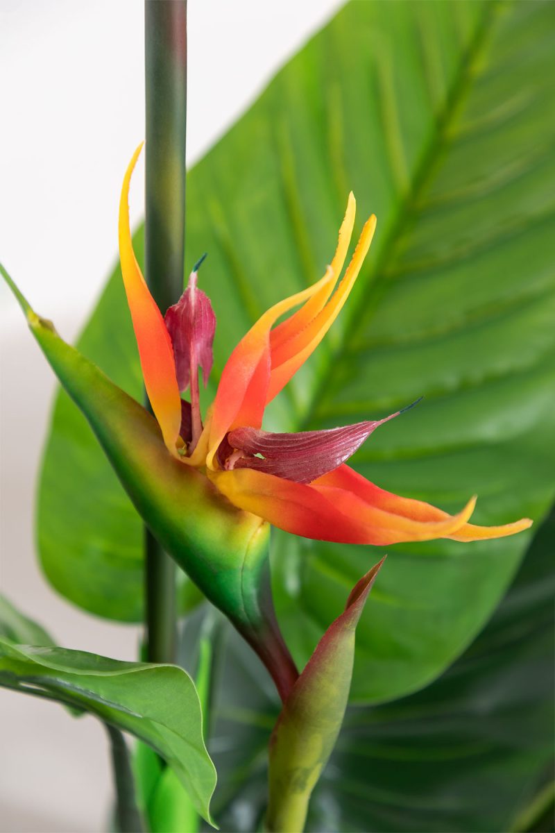 Planta Artificial Decorativa Esterlicia 150cm