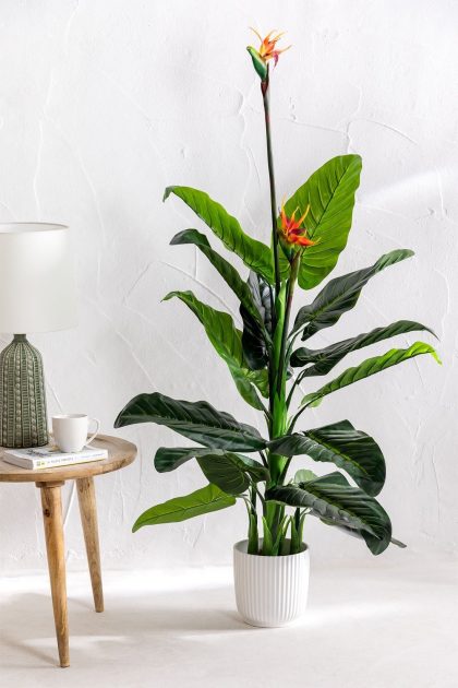 Planta Artificial Decorativa Esterlicia 150cm