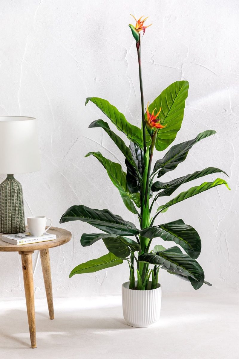 Planta Artificial Decorativa Esterlicia 150cm